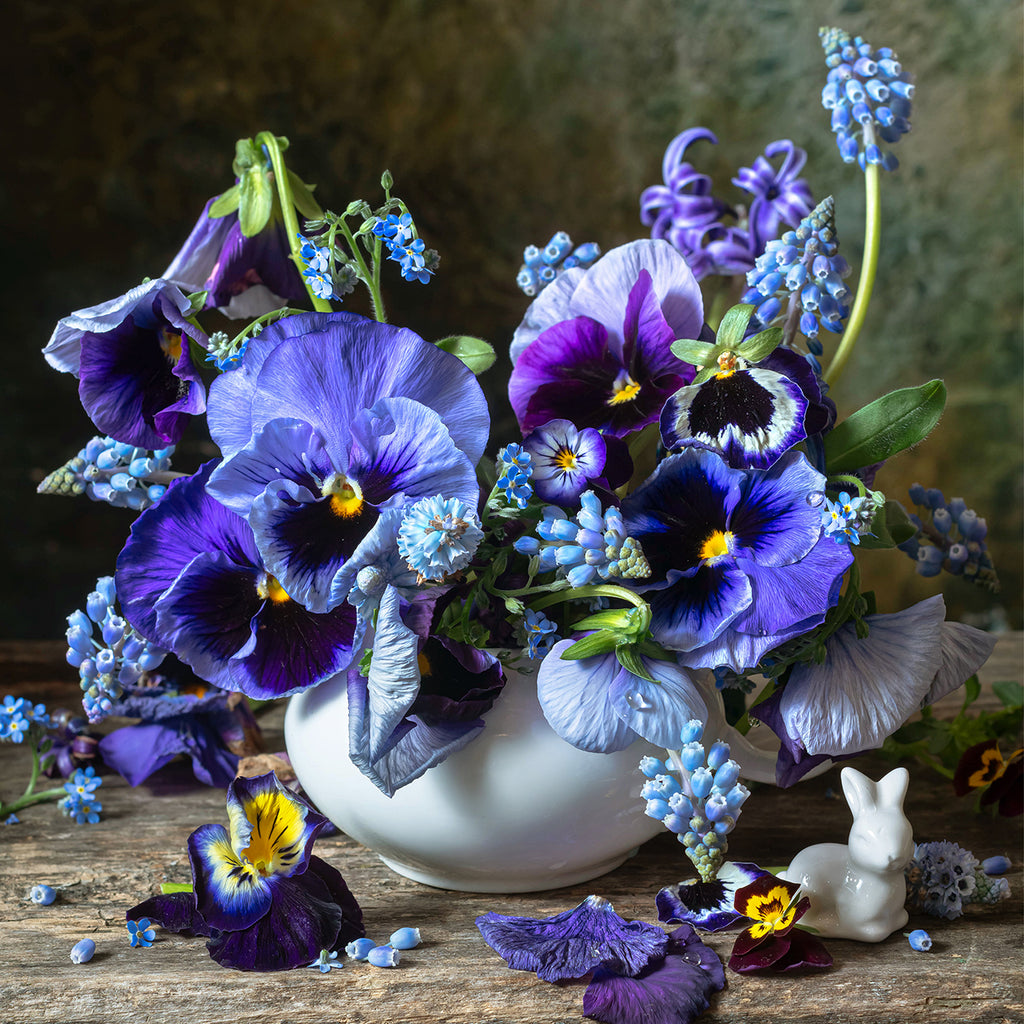 A fine art print with floral still life featuring deep blue pansies, muscari, and forget-me-nots in a vintage white porcelain bowl, set against a textured background with a porcelain bunny figurine.