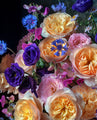 Juliet and Eustoma